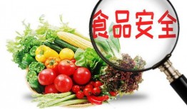 食物热点爆料怎么做视频,如何制作爆款视频攻略